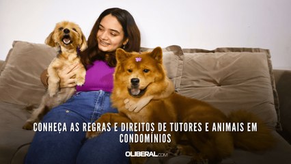 Conheça as regras e direitos de tutores e animais em condomínios