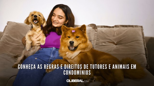 Conheça as regras e direitos de tutores e animais em condomínios