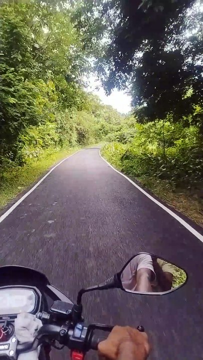 Assam Forrest Roads