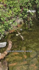 Quatre corps retourvés dans la Seine à Choisy-le-Roi