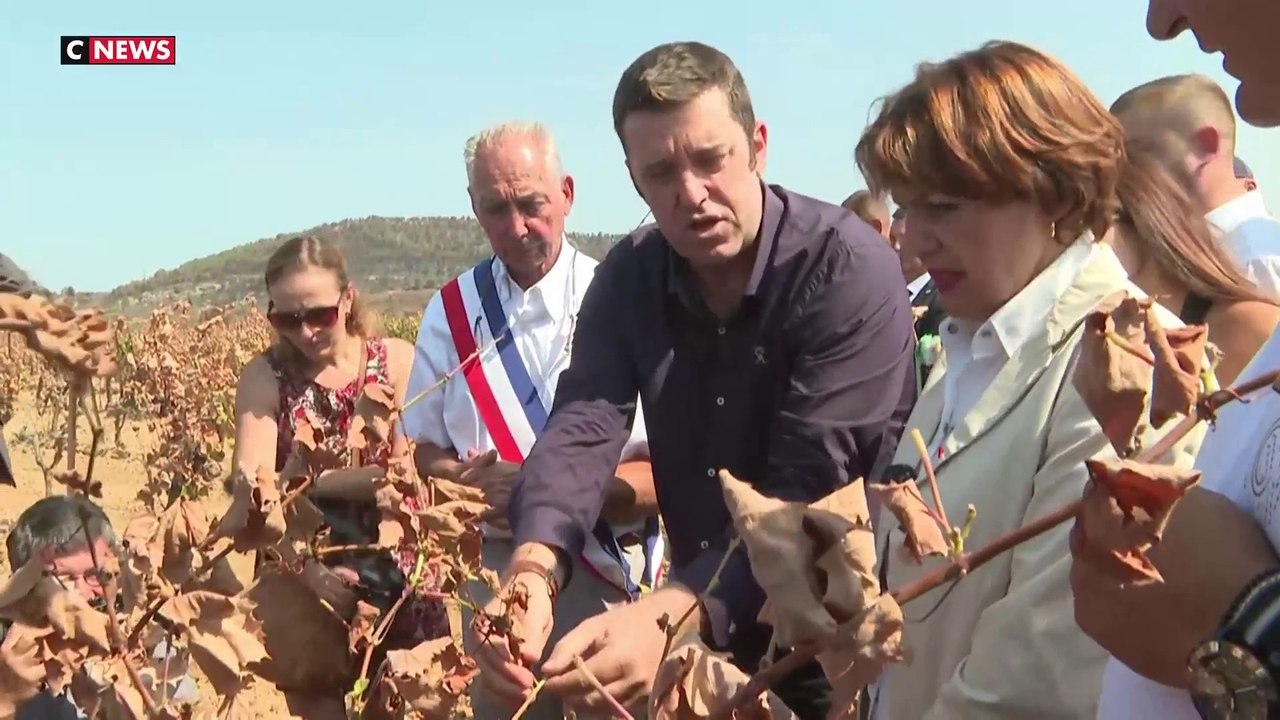Aude : les vignerons sinistrés en colère après les incendies