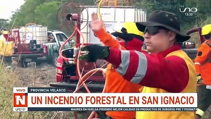 UN INCENDIO FORESTAL EN SAN IGNACIO