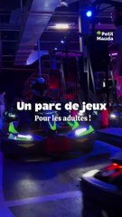 Un terrain de jeu XXl… pour les adultes !