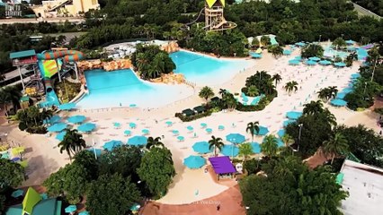 Los trágicos últimos momentos de la entrenadora de orcas Claire Benson...