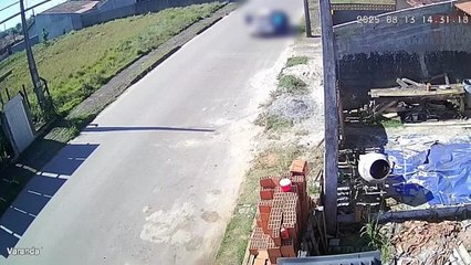 Abandono de cachorros em Araquari