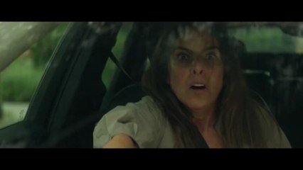 Instintos - Tráiler oficial