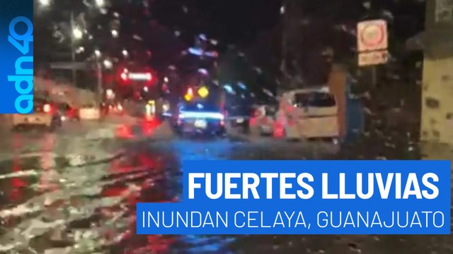 Fuertes lluvias inundan Celaya, Guanajuato; agua alcanzó 1.2 metros y hay daños severos