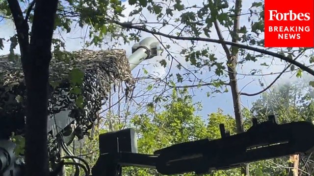 Ukrainian Artillerymen Fire At Russian Positions In Kharkiv Oblast Ahead Of Trump-Putin Summit