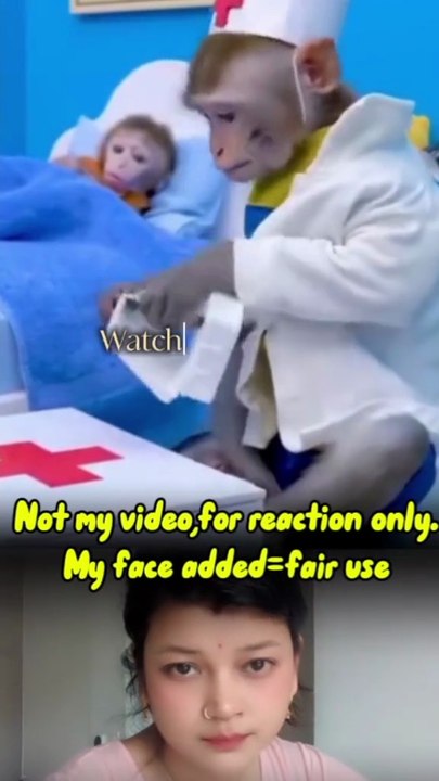 Funny video of doctor and patient monkey🤣