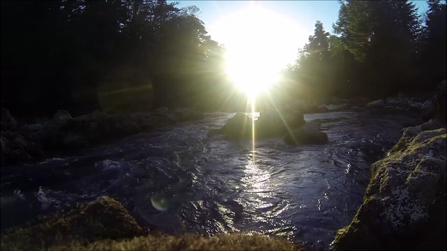 Way Way Back (Acoustic Version) - Lvly Best Indie music collections