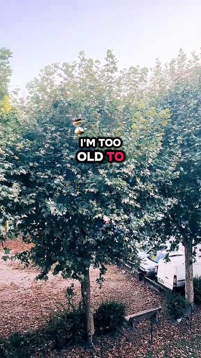 I have more important things to do #BR3 #motivation #success #lesson #inspiration