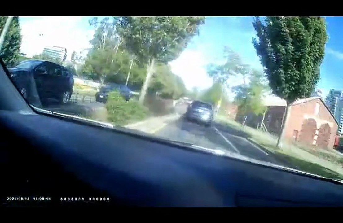 8/13/2025, (Targeted Individuals & Perp TV) My Associates & I Are Content Sponges Everywhere