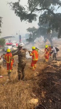 Nord du Maroc : plusieurs forêts sous les flammes