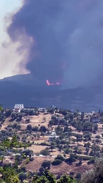 Nord du Maroc : plusieurs forêts sous les flammes