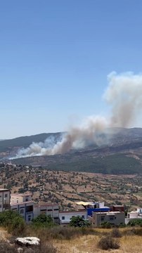 Nord du Maroc : plusieurs forêts sous les flammes