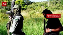 Guerra Rusia-Ucrania: las sorprendentes acusaciones contra cárteles latinos