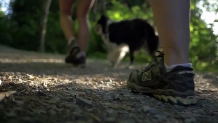 STAR 5 Women 13&O Free Program - Rink 1 -  2025 BC/YT Section Super Series Summer Skate