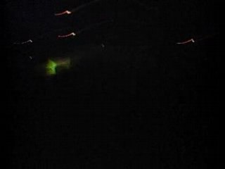 Fête à Léonard de Vinci :)