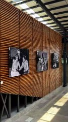 Cineteca Chapultepec abre con cine gratis toda la semana_conoce dónde está y su cartelera