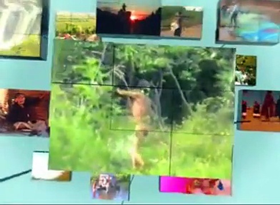 Jenecherú 7