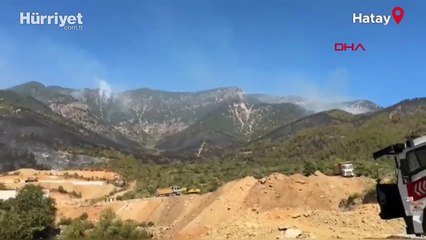 Hatay’da orman yangını sürüyor