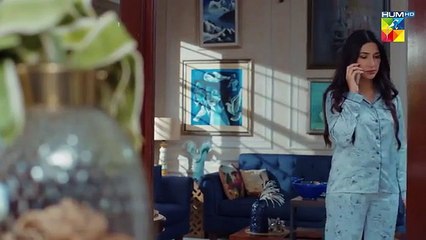 Raaja Rani - Episode 30 [ Hina Afridi & Faysal Qureshi ] - HUM TV