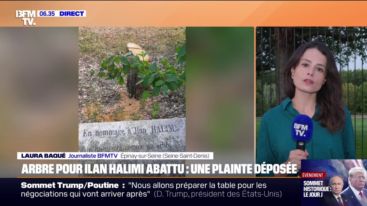 Un arbre planté à Épinay-sur-Seine (Seine-Saint-Denis) pour rendre hommage à Ilan Halimi a été abattu
