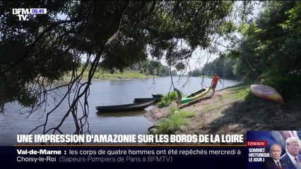 Une impression d'Amazonie sur les bords de la Loire, considéré comme le dernier fleuve sauvage d'Europe