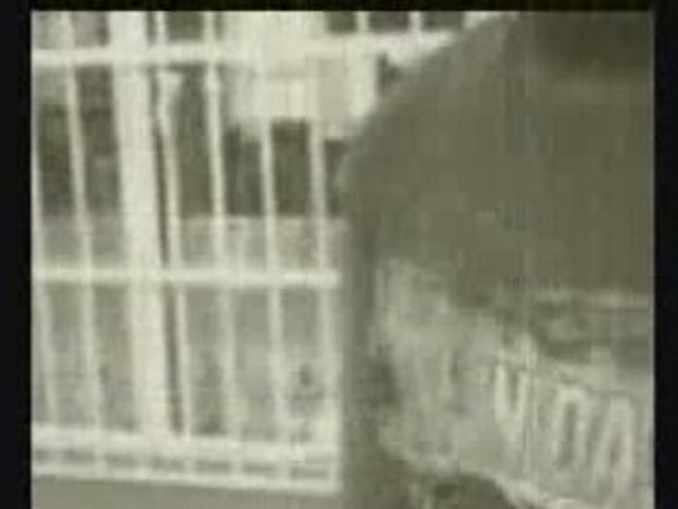 One life à Bordel[My vybz studio Prod°]