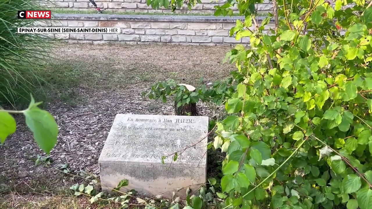 Epinay-sur-Seine : L'olivier rendant hommage à Ilan Halimi abattu - Le jeune homme avait été tué en 2006 par "Le gang des barbares" car il était juif