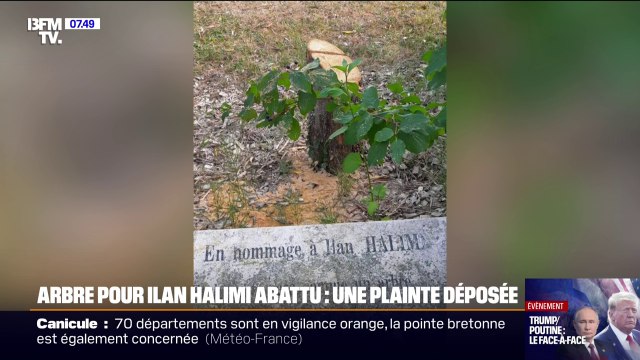 Arbre pour Ilan Halimi abattu: Ça a été un choc immense quand nous avons appris hier cette profanation , déplore Philippe Meyer (Crif)