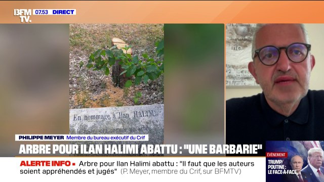 Arbre pour Ilan Halimi abattu: Il faudra que les auteurs de cet acte soient jugés sévèrement , affirme Philippe Meyer (Crif)