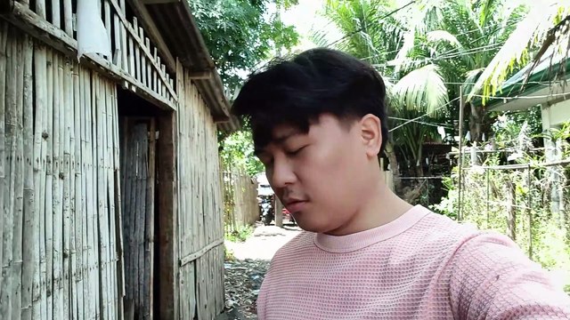 Mike Pinched the Dog's Ears