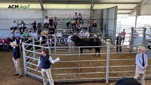 Booroomooka Angus Bull Sale - August 15, 2025