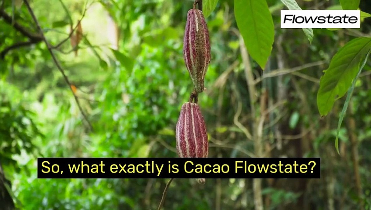 Cacao Flowstate: Calm-Focused Elixir for Mind & Gut