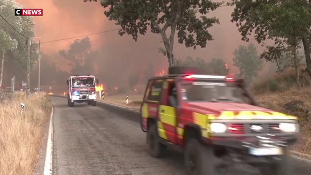 Incendies : l'Europe en proie aux flammes