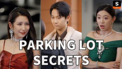 Parking Lot Secrets