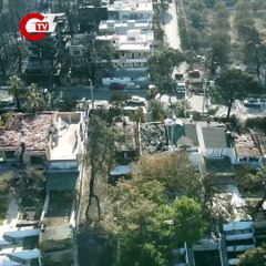 Ormanların yanması nedeniyle korunmasız hale gelen yaban hayvanları için av yasağı isteği