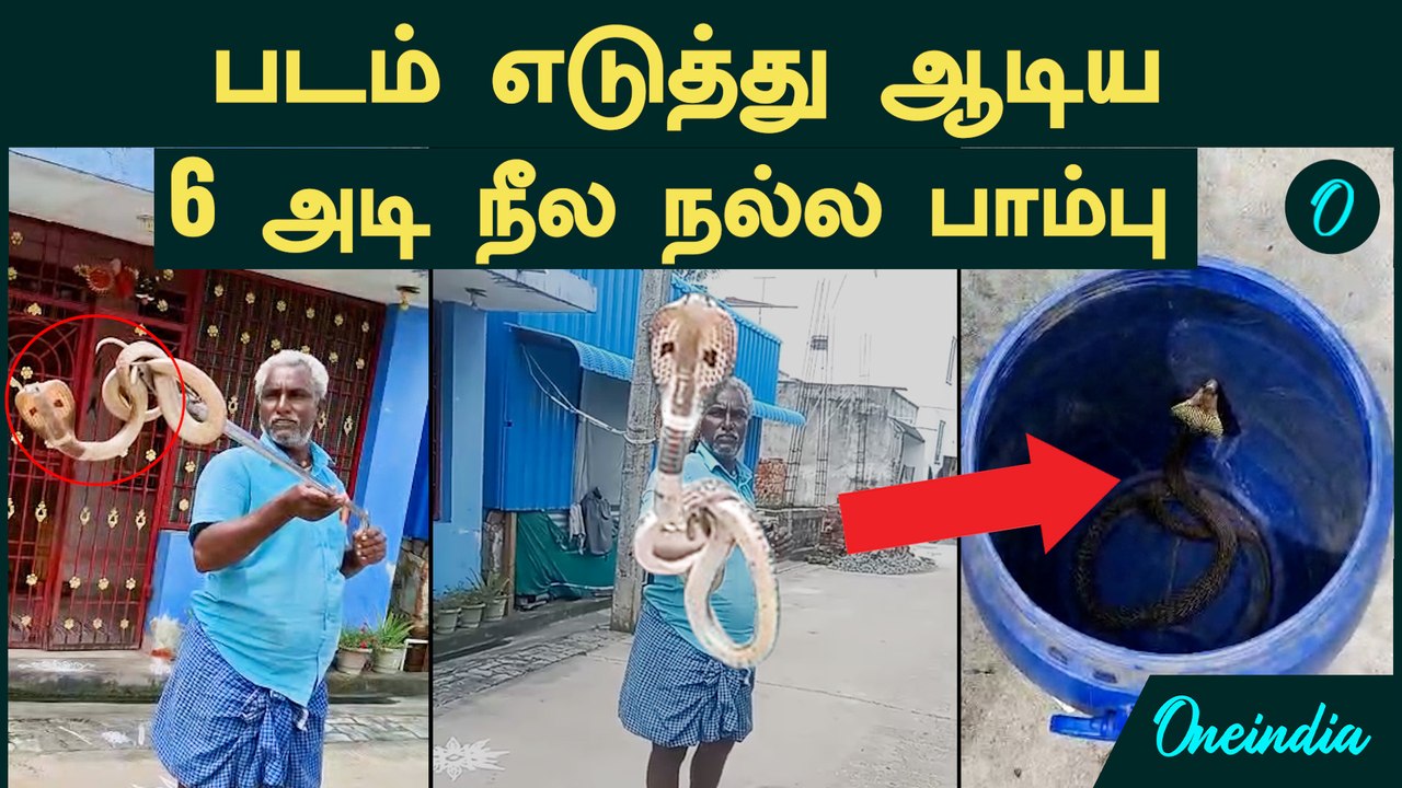 Puducherry Snake Video | வீட்டின் முன்பு படம் எடுத்து ஆடிய 6 அடி நீல நல்ல பாம்பு