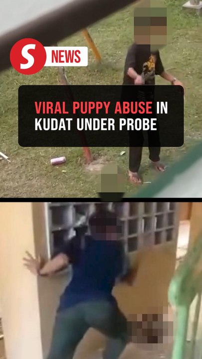 Sabah cops probing viral video of animal abuse at Kudat PPRT