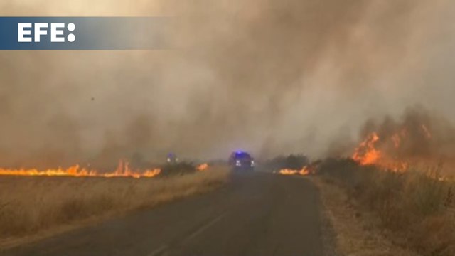 Tres fallecidos, carreteras cortadas y varios detenidos por los incendios en España