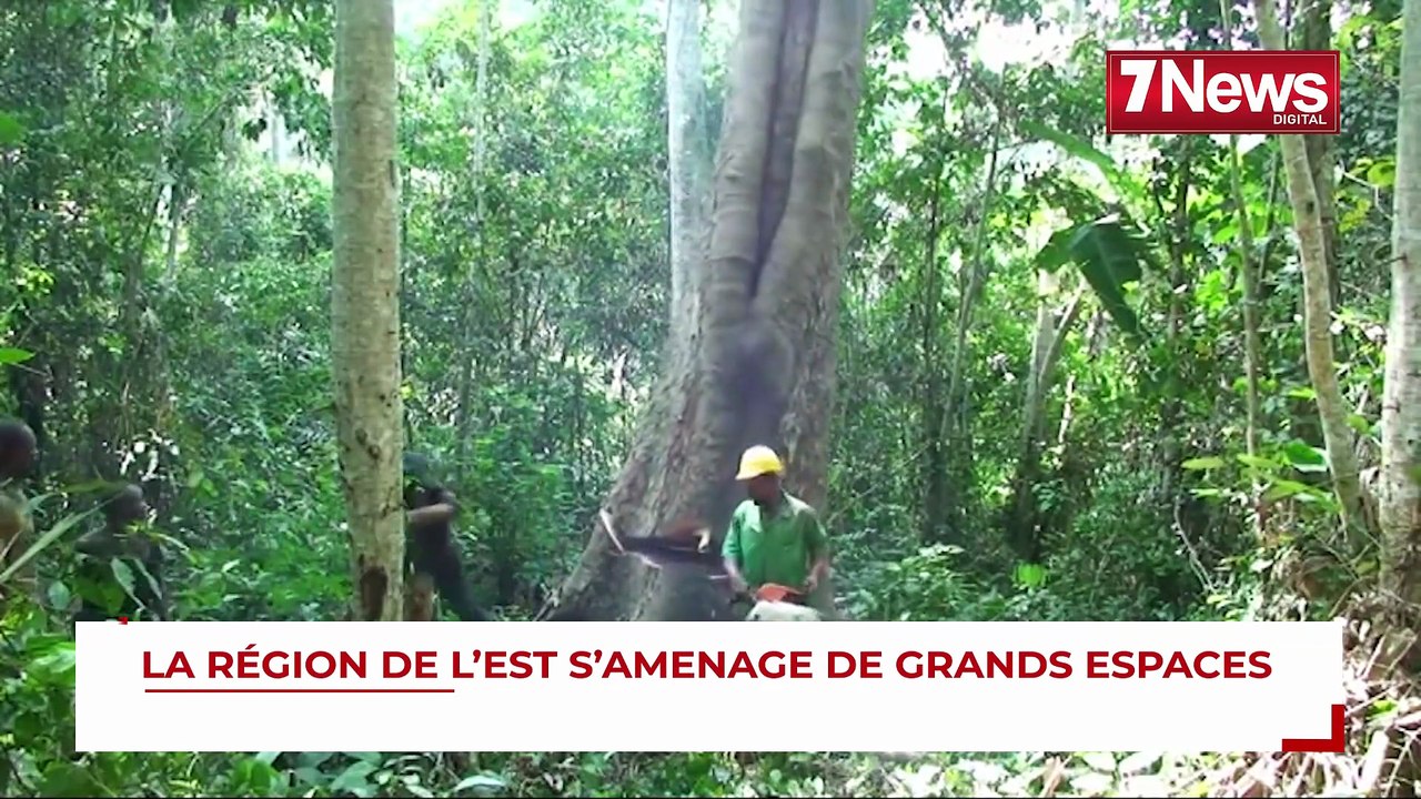 LA RÉGION DE L'EST S'AMÉNAGE DE GRANDS ESPACES