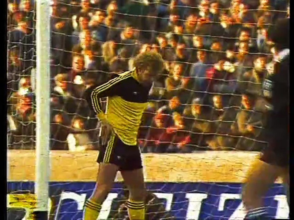 1978 FIFA World Cup - West Germany v. Netherlands (2nd Phase) Group 1