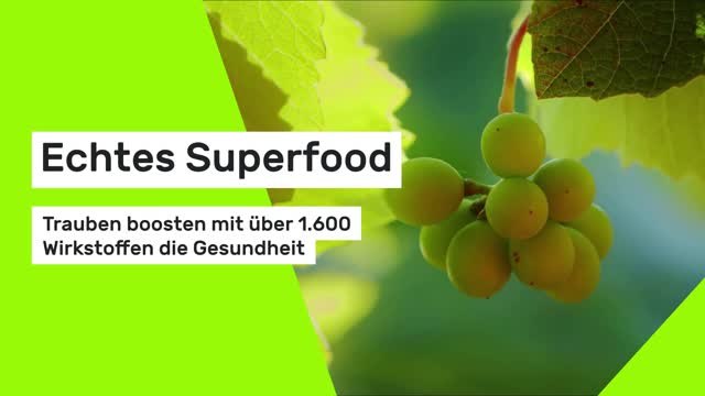 Echtes Superfood: Trauben boosten mit über 1.600 Wirkstoffen die Gesundheit