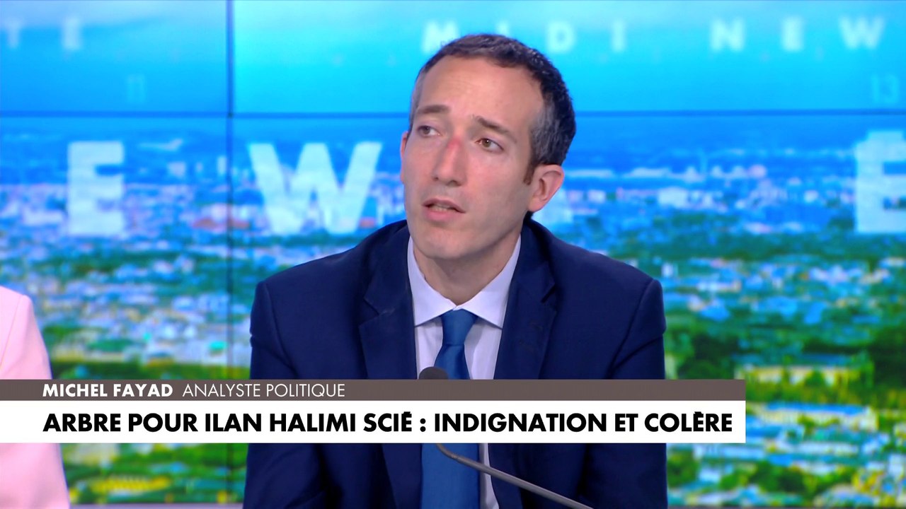 Michel Fayad : «Le meurtre d'Ilan Halimi a ouvert les yeux sur un autre type d'antisémitisme»