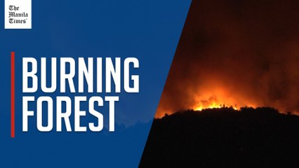 Wildfire in Portugal paints sky orange as flames rage