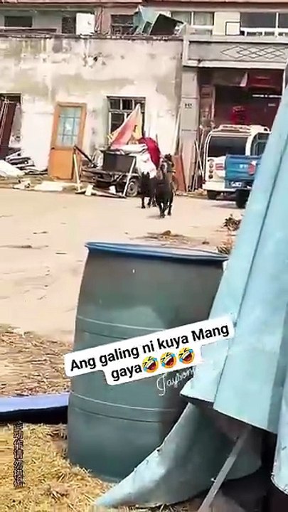 He really makes you react to the person he's imitating 🤣🤣🥰 #reelsvideoシ #reelsviralシ #reelsfypシ #reelsfb #reelschallenge #followers #fbreel