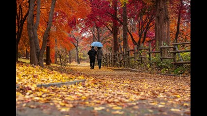 Mejora la salud de tus huesos caminando.