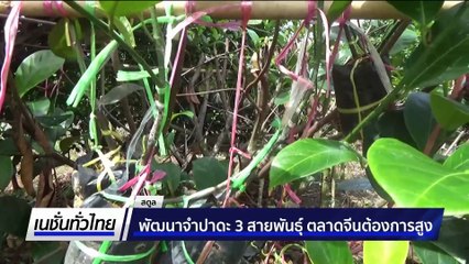 ศึกวอเตอร์เจ็ตชิงแชมป์ประเทศไทย  | เนชั่นทั่วไทย | 18 ส.ค. 68 | PART 2