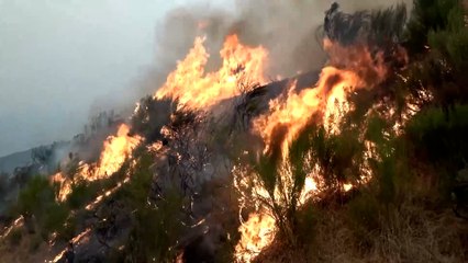 Los incendios en Castilla y León devoran miles de hectáreas: las imágenes de León y Zamora